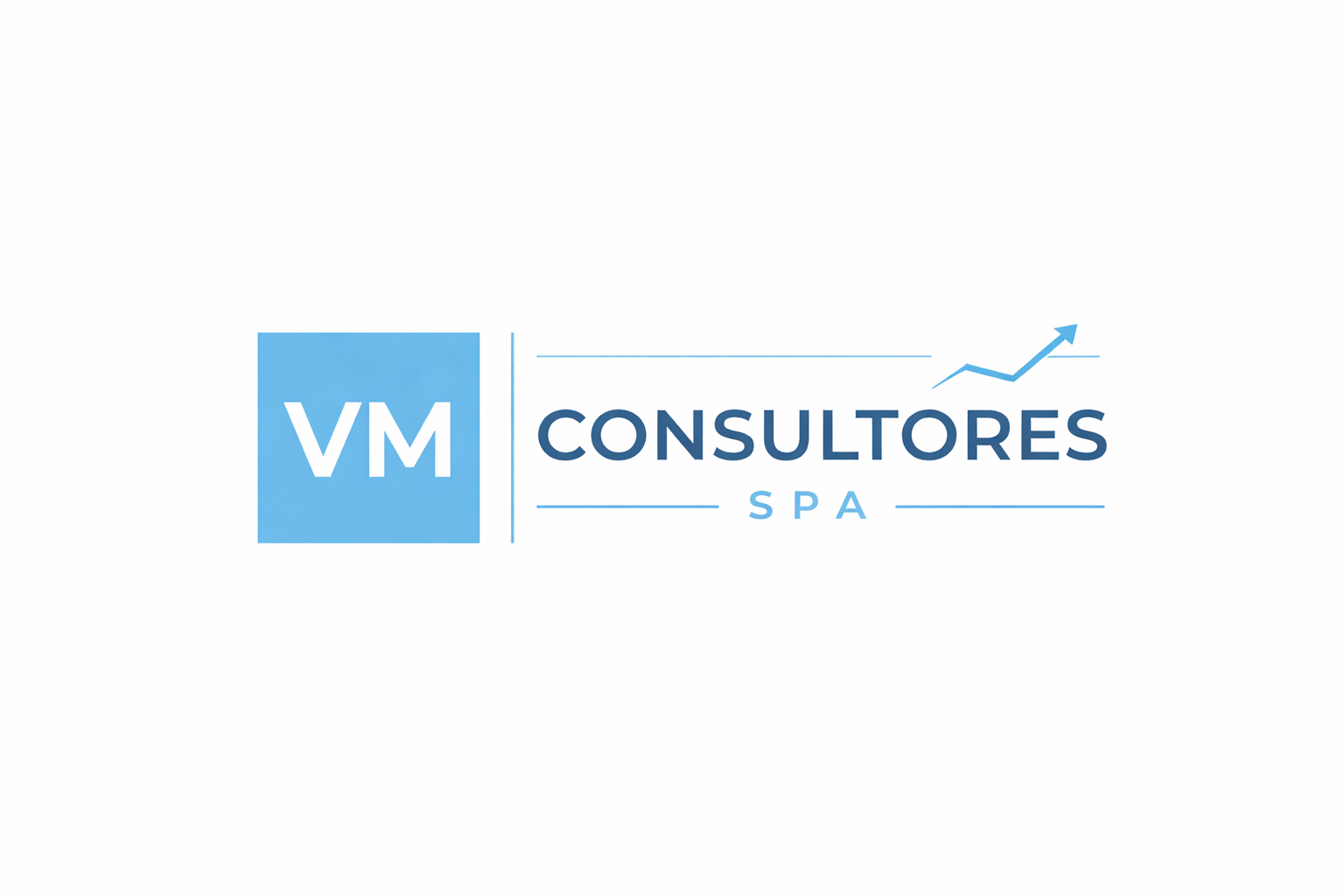 VM Consultores